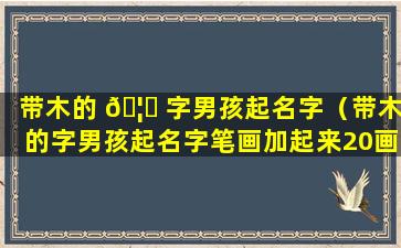 带木的 🦅 字男孩起名字（带木的字男孩起名字笔画加起来20画）